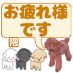 隈「くま」さんのトイプードル会話