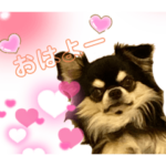 可愛いルークスタンプ！使ってね！さやるけ