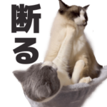 毎日使える☆もふもふ猫スタンプ