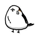 志の低いシマエナガ