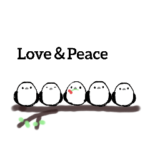 シマエナガとヒナエナガ