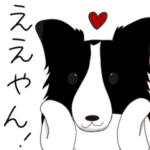 ぼーだーこりー