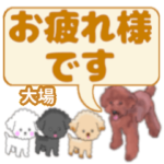 大場「おおば」さんのトイプードル会話