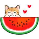 夏☆猫たちのスタンプ2