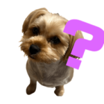 ここぷーすたんぷver.2