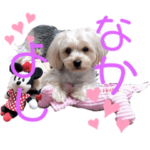 ここぷーすたんぷver.3