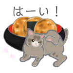 春・和スイーツなにゃんこたち