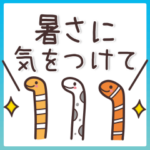 大人シンプル♥夏の日常会話