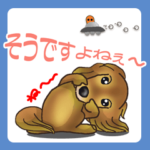 いつも一緒にいたいワン Ver15