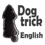 犬のしつけバイリンガルトイプードル英会話