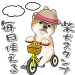 毎日使える”飛び出す!!柴犬”