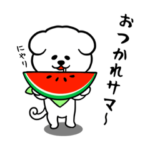 裏モフモフの民 梅雨&夏シーズン