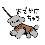 プードルるるちゃん