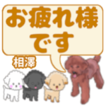 相澤「あいざわ」さんのトイプードル会話