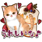 日常会話♡癒し猫