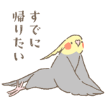 とりちゃんたちの限界労働