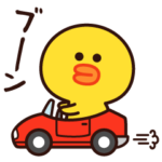 楽しく使える☆遊べるサリー