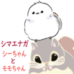シマエナガ☆シーちゃんとモモちゃん