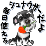 「毎日使える」飛び出すシュナウザー犬
