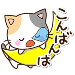 かわいいお茶目な三毛猫