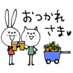 mottoのvRabbit × vCat