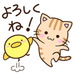 毎日楽しい☆おちゃめなトラネコ