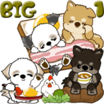 仲良しワンコ『日常よく使う言葉』