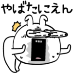 ピタうさぎ陽気なヤツ