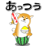 激しく尻尾をふるイヌⅡ