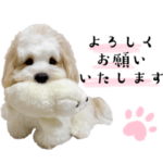 キャバションあんちゃんのスタンプ②