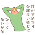 現実に向き合えない大人インコ
