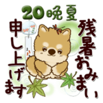 ちゃちゃ丸 20『晩夏～初秋』