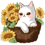 夏から秋まで使える日常会話♡猫スタンプ