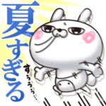 ひとえうさぎ62