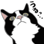 めっちゃハチワレ猫ぴあの