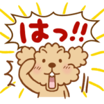 トイプーのぷう太郎 その11