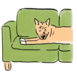 元保護犬福と元保護猫とも＆もえ修正版