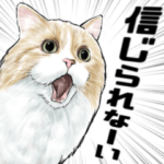 意外と使える吹き出し付きリアル猫スタンプ