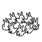 ▶︎動く！小さいウサギがいっぱい