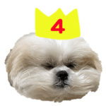 mocozo photo 4（関西弁）