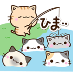 毎日楽しい☆５匹のちび猫