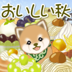 よちよち豆柴　おいしい秋