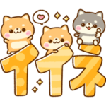 ちいさな♡豆柴日和