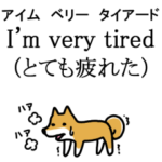 柴犬さんの英会話