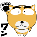 毎日、柴犬くん