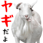 飛び出す！ヤギと動物園の仲間たち