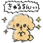 シンプル きゅるるん トイプードル