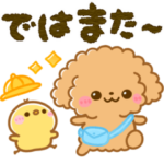 ふわもこトイプー♡カラフル可愛い