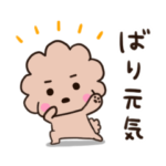 広島弁♡トイプードル