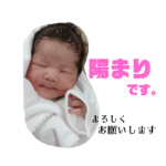 ひまりんごぉ（文字入り）